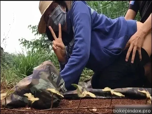 Istri anjing berusia 24 tahun di lapangan